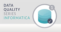 Data Quality – Part 1: Data Profiling using INFA