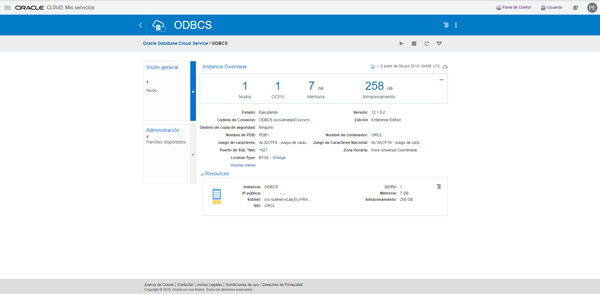 database instance connection details 