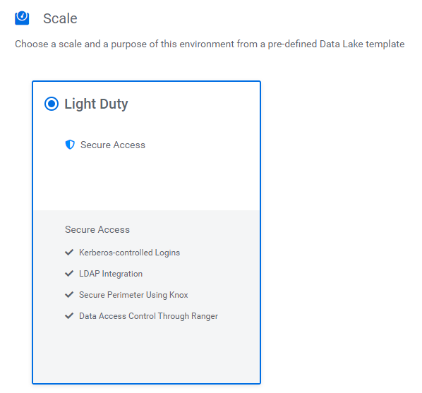 The Light Duty scale definition of the Data Lake we are creating.