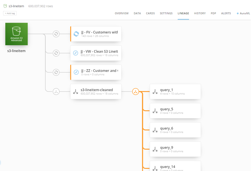 Domo DataSet view