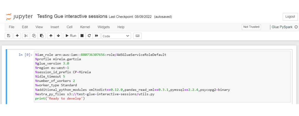 Glue Interactive Sessions for Developing AWS Glue Jobs – ClearPeaks Blog