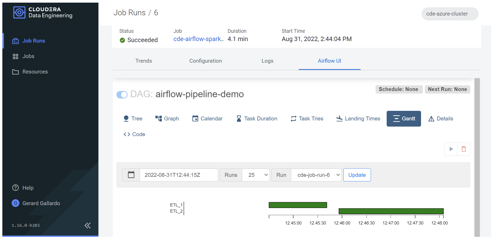 Gantt view of the executed jobs