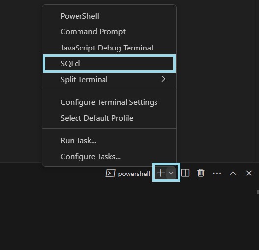 Integrated SQLcl