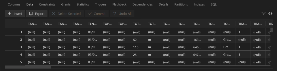 SQL developer options