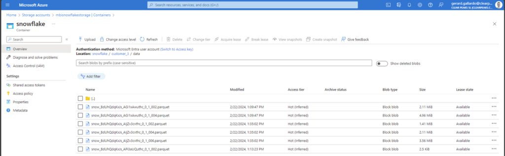Parquet files inside the data folder