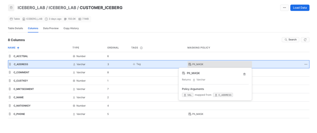 Analysing the masking policies applied to each column