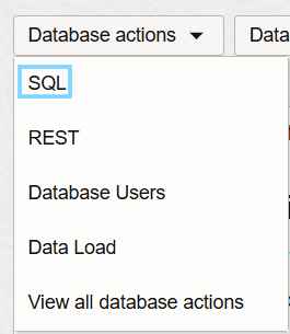 Accessing the SQL editor in the database