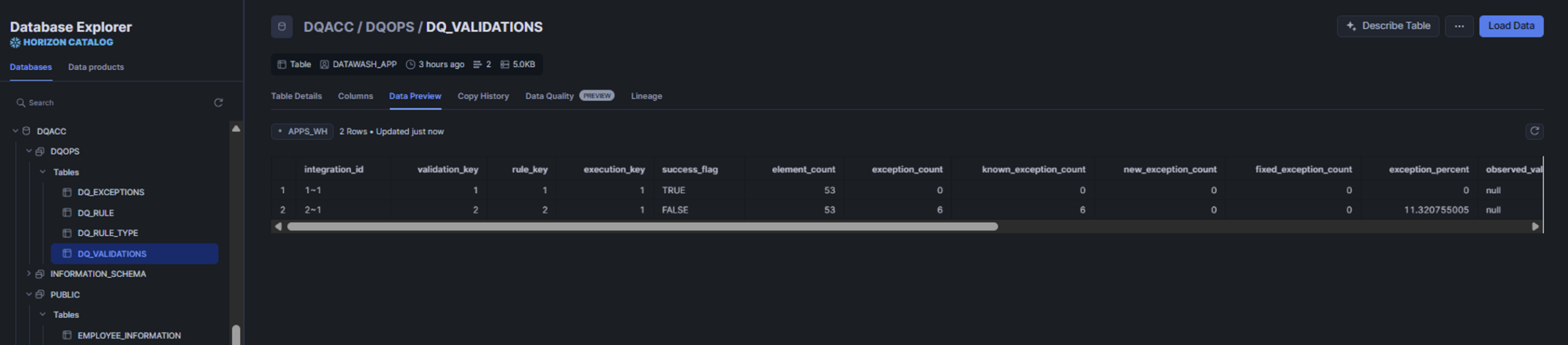 Snowflake screenshot with sample data from a process run